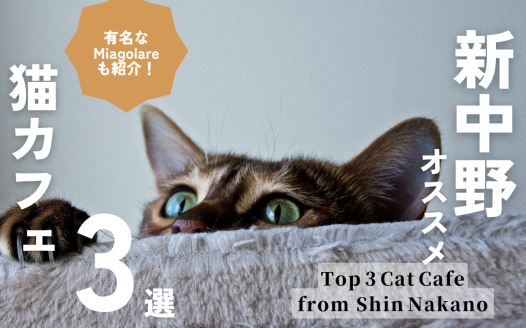 新中野 猫 カフェ